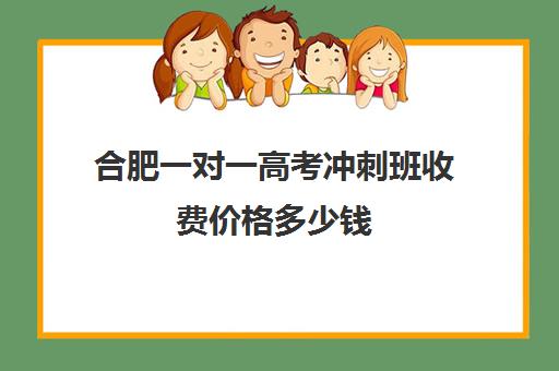 合肥一对一高考冲刺班收费价格多少钱(合肥补课机构)