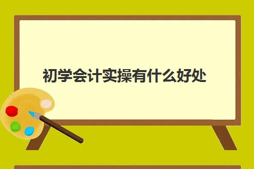 初学会计实操有什么好处(会计能学到什么)