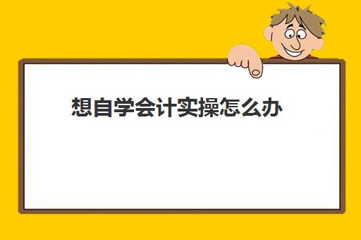 想自学会计实操怎么办(会计没人带能自学吗)