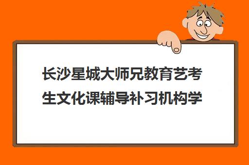 长沙星城大师兄教育艺考生文化课辅导补习机构学费多少钱