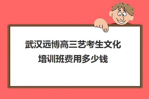 武汉远博高三艺考生文化培训班费用多少钱(舞蹈艺考培训一对一)