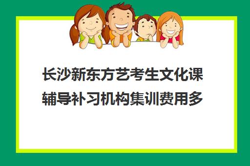 长沙新东方艺考生文化课辅导补习机构集训费用多少钱