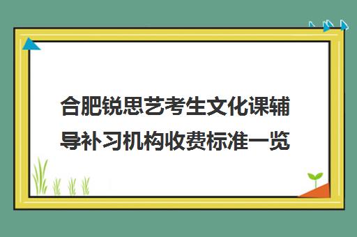 合肥锐思艺考生文化课辅导补习机构收费标准一览表