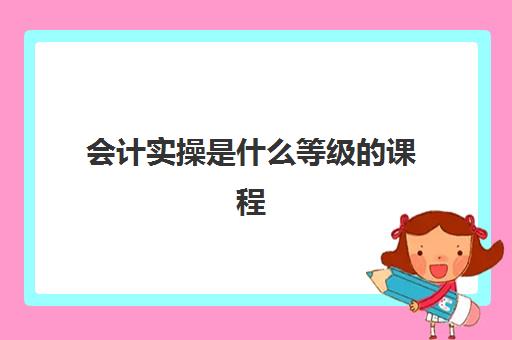 会计实操是什么等级的课程(学完基础会计后面学什么)