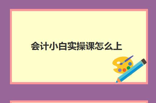 会计小白实操课怎么上(新手会计应该怎么着手)