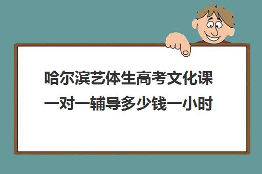 哈尔滨艺体生高考文化课一对一辅导多少钱一小时(艺考生一对一的辅导)