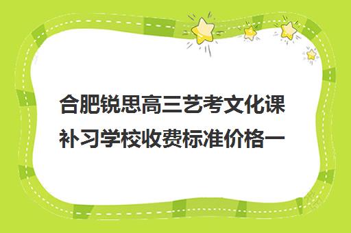 合肥锐思高三艺考文化课补习学校收费标准价格一览