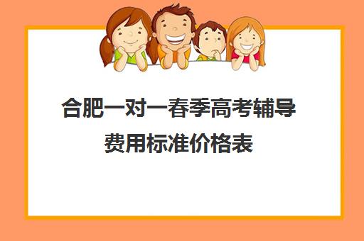 合肥一对一春季高考辅导费用标准价格表(合肥初中一对一辅导多少钱)