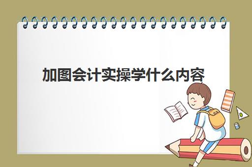 加图会计实操学什么内容(基础会计后面学什么)