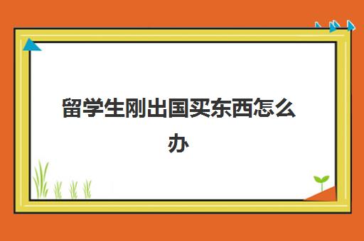 留学生刚出国买东西怎么办(让朋友在国外买包邮回来会有税吗)