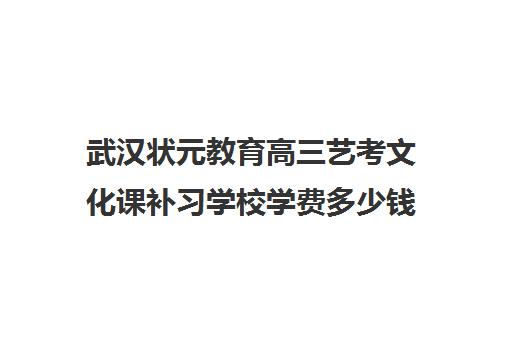 武汉状元教育高三艺考文化课补习学校学费多少钱