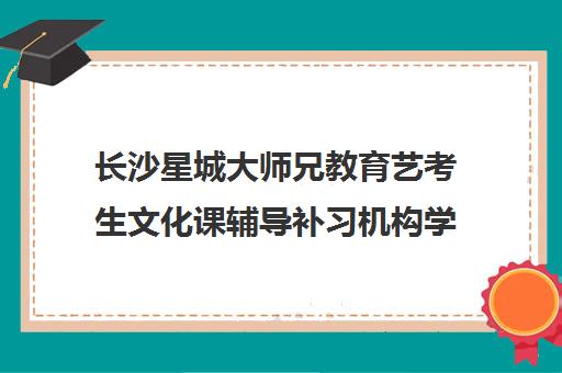 长沙星城大师兄教育艺考生文化课辅导补习机构学费价格表