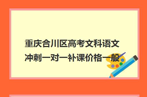 重庆合川区高考文科语文冲刺一对一补课价格一般多少钱(一对一补课价格)