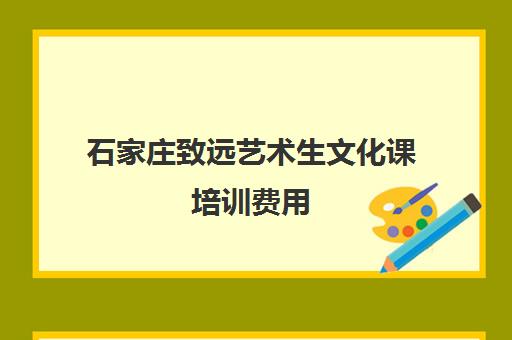 石家庄致远艺术生文化课培训费用(河北省艺考生文化课机构排名)