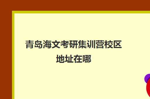 青岛海文考研集训营校区地址在哪（青岛比较好的考研机构）