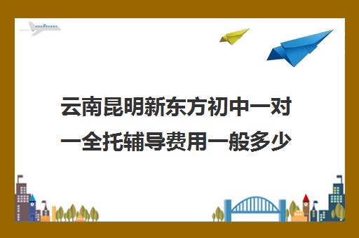 云南昆明新东方初中一对一全托辅导费用一般多少钱（昆明补课哪个机构比较好）