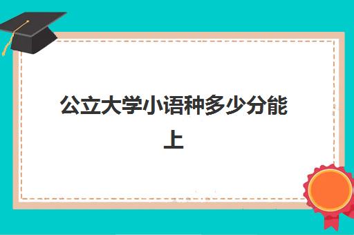 公立大学小语种多少分能上(小语种大学排名及分数)