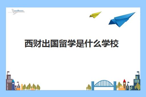 西财出国留学是什么学校(西南财经大学出国留学项目)