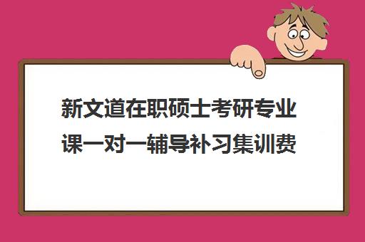 新文道在职硕士考研专业课一对一辅导补习集训费用多少钱