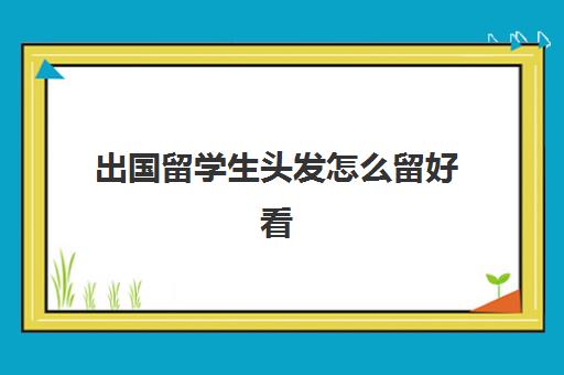 出国留学生头发怎么留好看(大学生留什么发型好看)