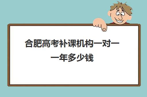 合肥高考补课机构一对一一年多少钱(合肥比较出名辅导班)