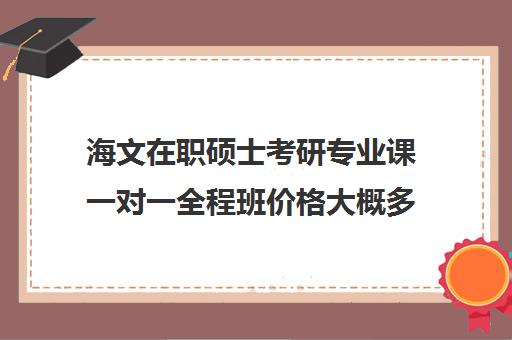 海文在职硕士考研专业课一对一全程班价格大概多少钱（海文考研培训怎么样）