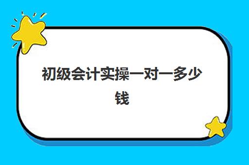 初级会计实操一对一多少钱(会计培训班出来好找工作吗)