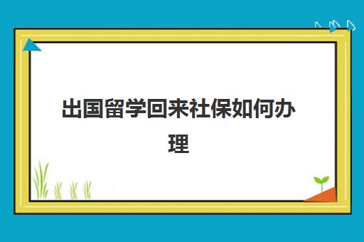 出国留学回来社保如何办理(普通家庭出国留学)