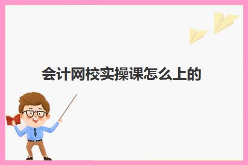 会计网校实操课怎么上的(学会计上网课好还是实体课好)