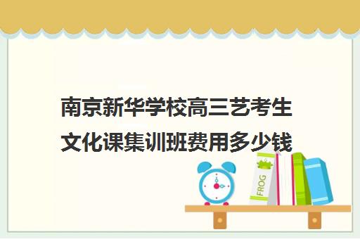 南京新华学校高三艺考生文化课集训班费用多少钱(南京艺校有哪些学校)