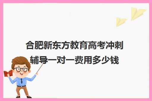 合肥新东方教育高考冲刺辅导一对一费用多少钱（新东方高考培训多少钱）