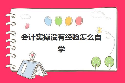 会计实操没有经验怎么自学(会计没人带能自学吗)