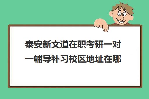 泰安新文道在职考研一对一辅导补习校区地址在哪