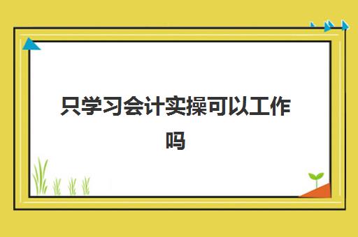 只学习会计实操可以工作吗