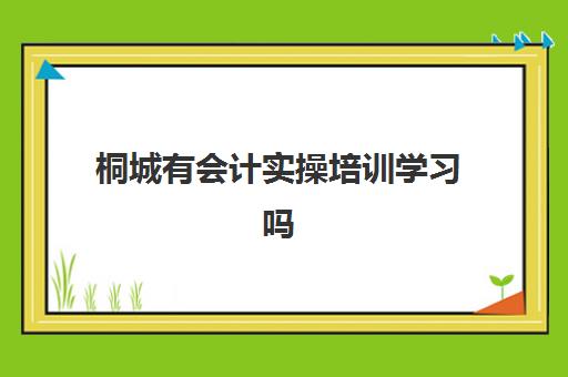 桐城有会计实操培训学习吗