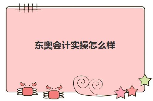 东奥会计实操怎么样(东奥初级会计通过率)