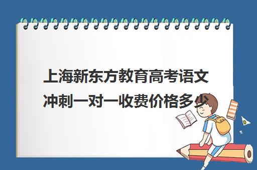 上海新东方教育高考语文冲刺一对一收费价格多少钱(新东方初中一对一效果如何)