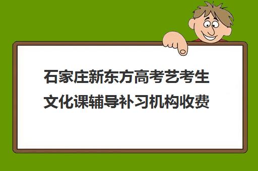 石家庄新东方高考艺考生文化课辅导补习机构收费标准价格一览