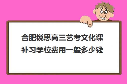 合肥锐思高三艺考文化课补习学校费用一般多少钱