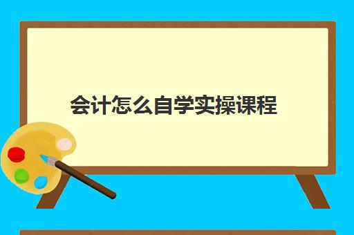 会计怎么自学实操课程(一个新手如何自学会计)