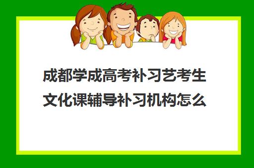 成都学成高考补习艺考生文化课辅导补习机构怎么收费