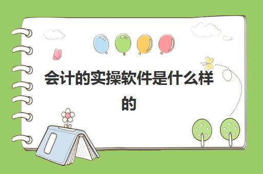 会计实操软件是什么样(学校用会计实训软件叫什么)