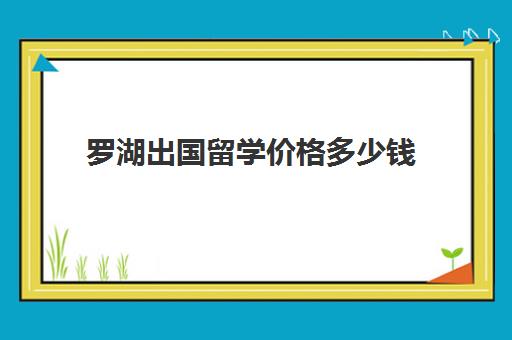 罗湖出国留学价格多少钱(留学香港一年总费用多少人民币)