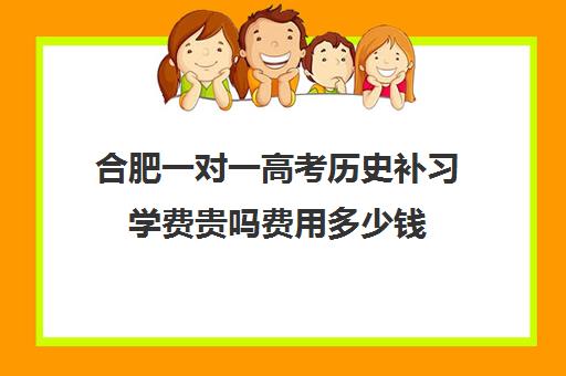 合肥一对一高考历史补习学费贵吗费用多少钱