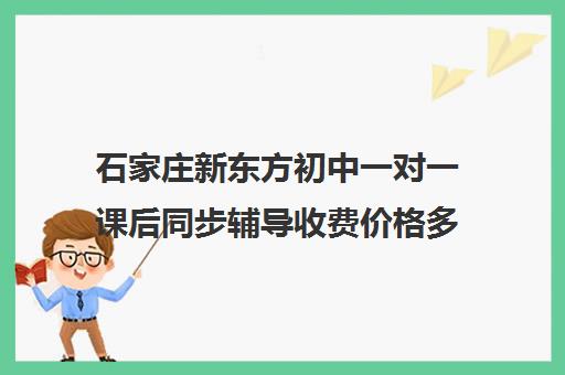 石家庄新东方初中一对一课后同步辅导收费价格多少钱(新东方初三一对一价格表)