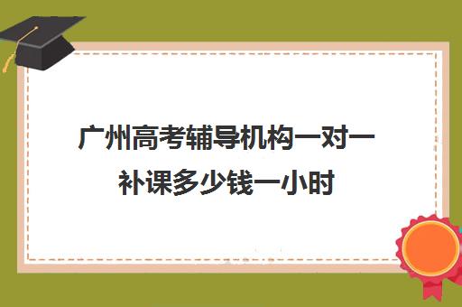 广州高考辅导机构一对一补课多少钱一小时(广州高中补课机构排名)