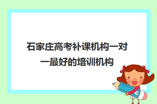 石家庄高考补课机构一对一最好培训机构(石家庄高三补课机构哪家好)