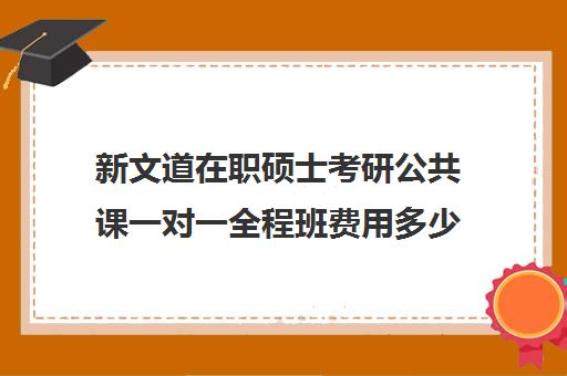 新文道在职硕士考研公共课一对一全程班费用多少钱（新文道考研报班价格一览表）