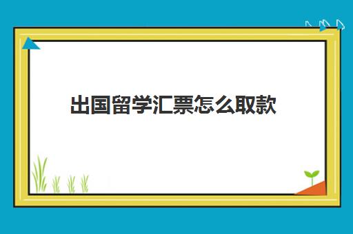 出国留学汇票怎么取款(汇票可以马上取钱吗)