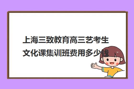 上海三致教育高三艺考生文化课集训班费用多少钱(高三艺考集训费用多少)